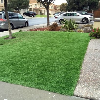 Fake Grass Carpet Elfrida, Arizona Landscape Ideas, Front Yard Landscaping