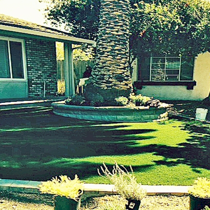 Fake Grass Carpet Naco, Arizona Landscape Ideas, Front Yard Landscape Ideas