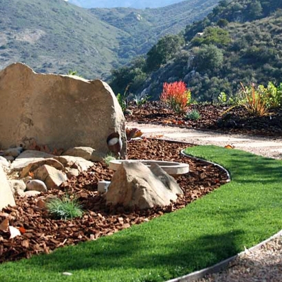 Fake Grass Carpet San Carlos, Arizona Home And Garden, Front Yard Landscaping Ideas