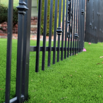 Fake Grass Carpet Tempe Junction, Arizona Backyard Playground, Front Yard Landscaping Ideas