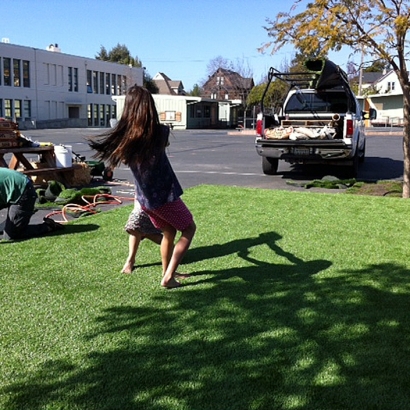 Fake Grass Carpet Wikieup, Arizona Landscape Rock, Commercial Landscape