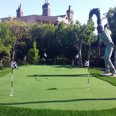 Fake Grass Carpet Youngtown, Arizona Design Ideas, Backyard Garden Ideas