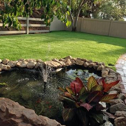 Fake Grass Carpet Yucca, Arizona Lawn And Garden, Natural Swimming Pools