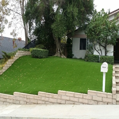 Fake Grass Citrus Park, Arizona Landscape Ideas, Front Yard