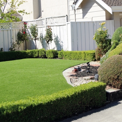 Fake Lawn Elgin, Arizona Backyard Playground, Front Yard