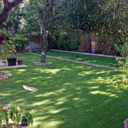 Faux Grass New Kingman-Butler, Arizona Landscape Photos, Backyard Ideas