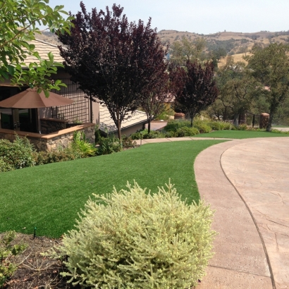 Grass Carpet Fort Apache, Arizona City Landscape, Front Yard Design