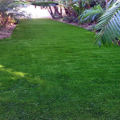 Grass Carpet Hackberry, Arizona Landscape Rock, Backyard Landscape Ideas