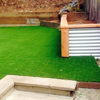 Grass Carpet Houck, Arizona Garden Ideas, Backyard Landscaping Ideas