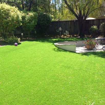 Grass Carpet Kohls Ranch, Arizona Gardeners, Backyard Landscaping