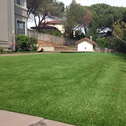 Grass Carpet Red Rock, Arizona Best Indoor Putting Green, Backyard Landscape Ideas