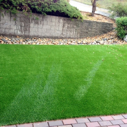 Grass Carpet San Jose, Arizona Rooftop, Front Yard Landscaping