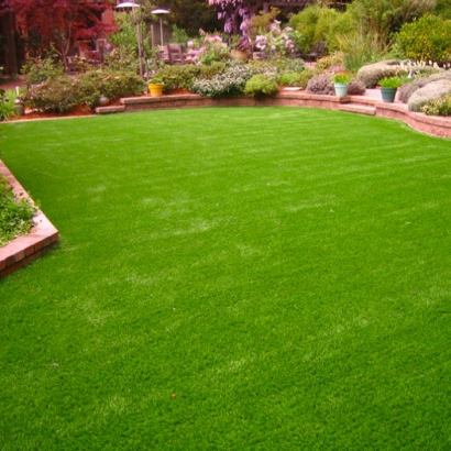 Grass Installation Blackwater, Arizona Landscaping Business, Backyard Ideas