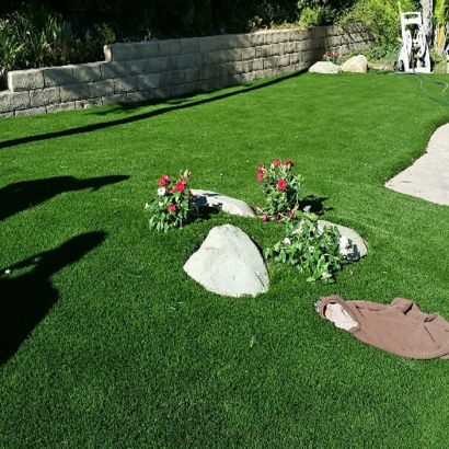 Grass Installation Florence, Arizona Design Ideas, Front Yard Design