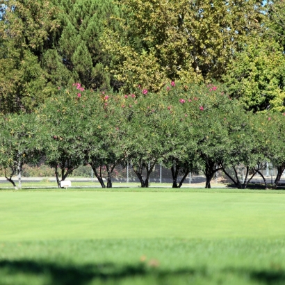 Grass Installation Vaiva Vo, Arizona Lawn And Landscape