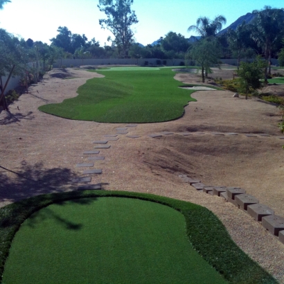 Grass Turf Pimaco Two, Arizona Backyard Playground, Backyard Landscaping Ideas