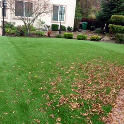 Grass Turf San Miguel, Arizona Landscaping Business, Backyard Landscaping Ideas