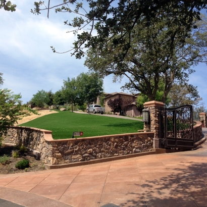 Grass Turf Washington Park, Arizona Gardeners, Front Yard Landscaping