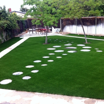 Green Lawn Catalina, Arizona Home And Garden, Backyard Ideas