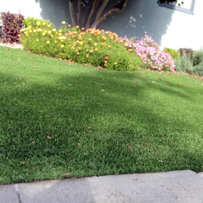 Green Lawn Nogales, Arizona Gardeners, Front Yard Ideas