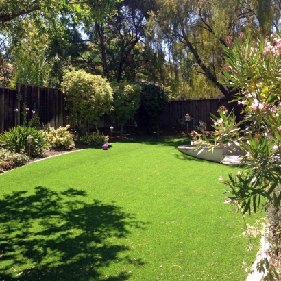 Installing Artificial Grass Anegam, Arizona Backyard Playground, Backyards