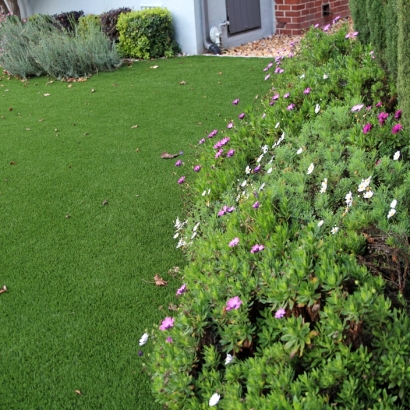 Installing Artificial Grass Shongopovi, Arizona Landscape Ideas, Front Yard Design