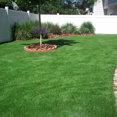 Lawn Services El Mirage, Arizona Rooftop, Backyard Designs