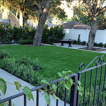 Outdoor Carpet Bisbee, Arizona Backyard Playground, Front Yard Landscaping Ideas