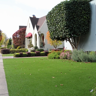 Outdoor Carpet Crozier, Arizona Gardeners, Front Yard