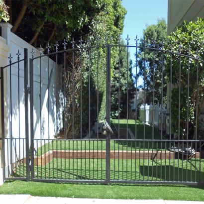 Plastic Grass Greasewood, Arizona Rooftop, Front Yard Ideas