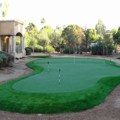 Synthetic Grass Alpine, Arizona Office Putting Green, Backyard Design