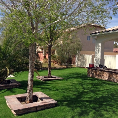 Synthetic Grass Patagonia, Arizona Garden Ideas, Front Yard Design