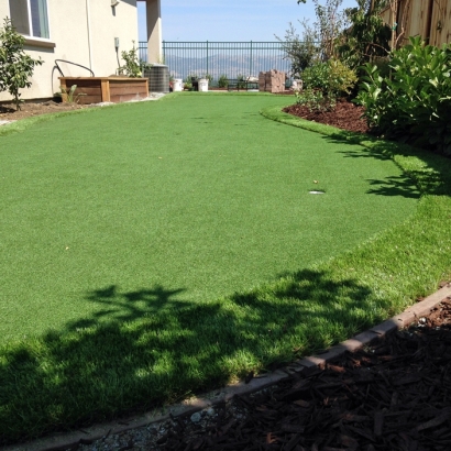 Synthetic Lawn Comobabi, Arizona Landscaping, Backyard