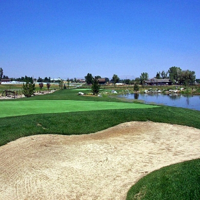 Synthetic Lawn Low Mountain, Arizona Putting Green Carpet, Beautiful Backyards