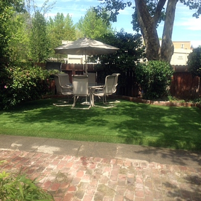 Synthetic Lawn McNary, Arizona Rooftop, Backyard Designs