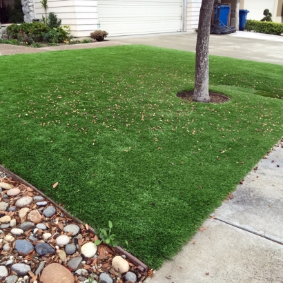 Synthetic Lawn McNeal, Arizona Lawn And Landscape, Front Yard Design