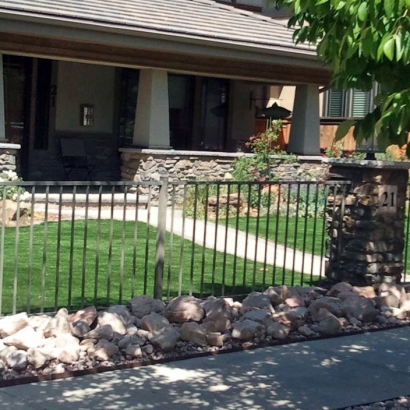 Synthetic Lawn South Tucson, Arizona Garden Ideas, Small Front Yard Landscaping