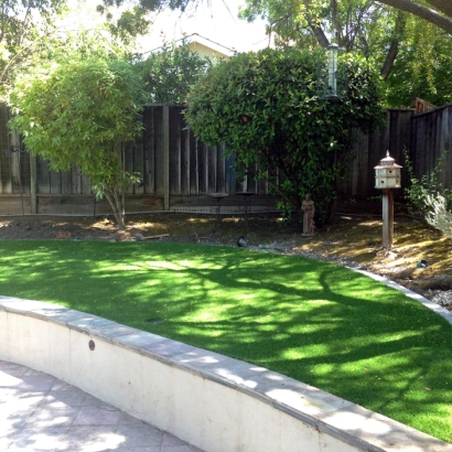 Synthetic Lawn Williamson, Arizona Home And Garden, Commercial Landscape