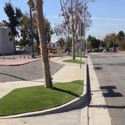 Synthetic Turf Supplier Safford, Arizona Design Ideas, Commercial Landscape