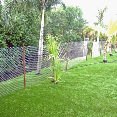 Synthetic Turf Willcox, Arizona Landscaping Business, Backyards