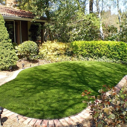 Turf Grass Grand Canyon Village, Arizona Roof Top, Backyard Makeover