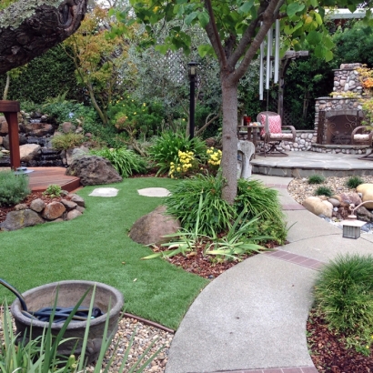 Turf Grass Pimaco Two, Arizona City Landscape, Backyard Ideas