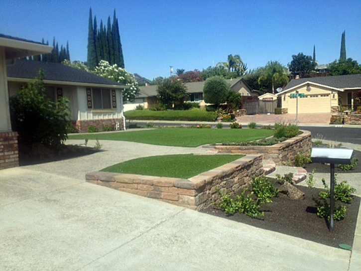 Artificial Grass Carpet Ali Chukson, Arizona Landscape Design, Front Yard Design