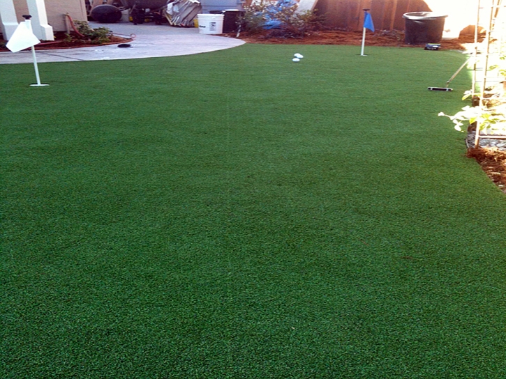 Artificial Grass Carpet Bryce, Arizona Rooftop, Backyard Design