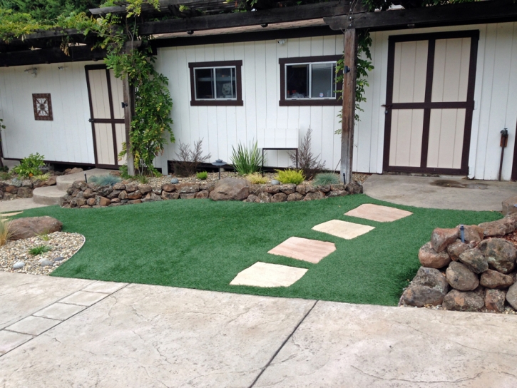 Artificial Grass Carpet San Carlos, Arizona Rooftop, Front Yard