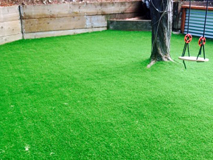 Artificial Grass Carpet Willow Valley, Arizona Playground Turf, Backyards