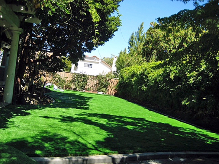 Artificial Grass Tat Momoli, Arizona Gardeners, Backyard Ideas