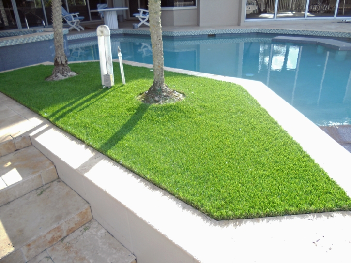 Artificial Lawn Cactus Forest, Arizona Lawn And Landscape, Backyards