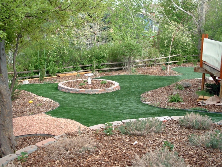 Artificial Lawn Guadalupe, Arizona Paver Patio, Backyard Landscaping