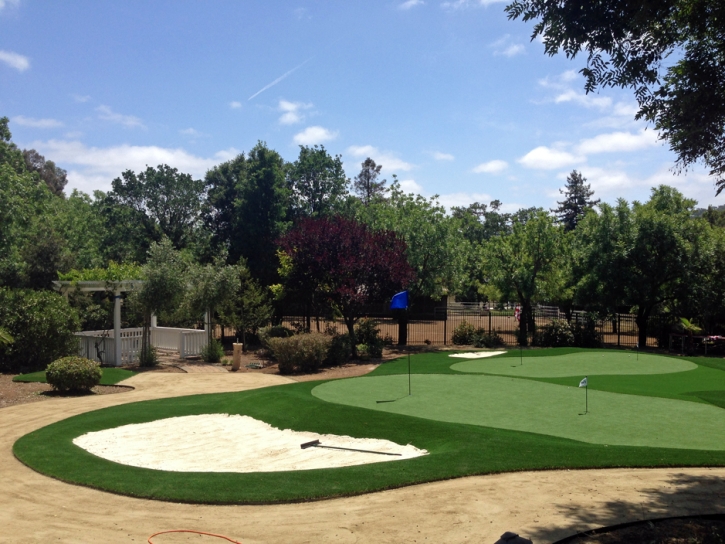 Artificial Lawn Mammoth, Arizona Backyard Putting Green, Front Yard Landscaping Ideas